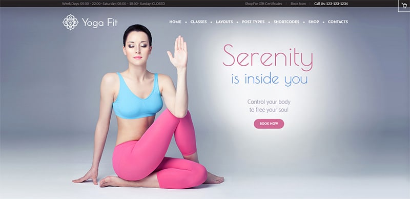 Yoga Fit WordPress Theme